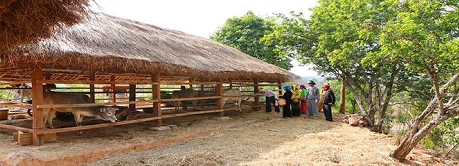 nothern myanmar trekking 1